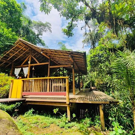 Eco Chales Caminho Das Aguas Barra Grande  Eksteriør billede