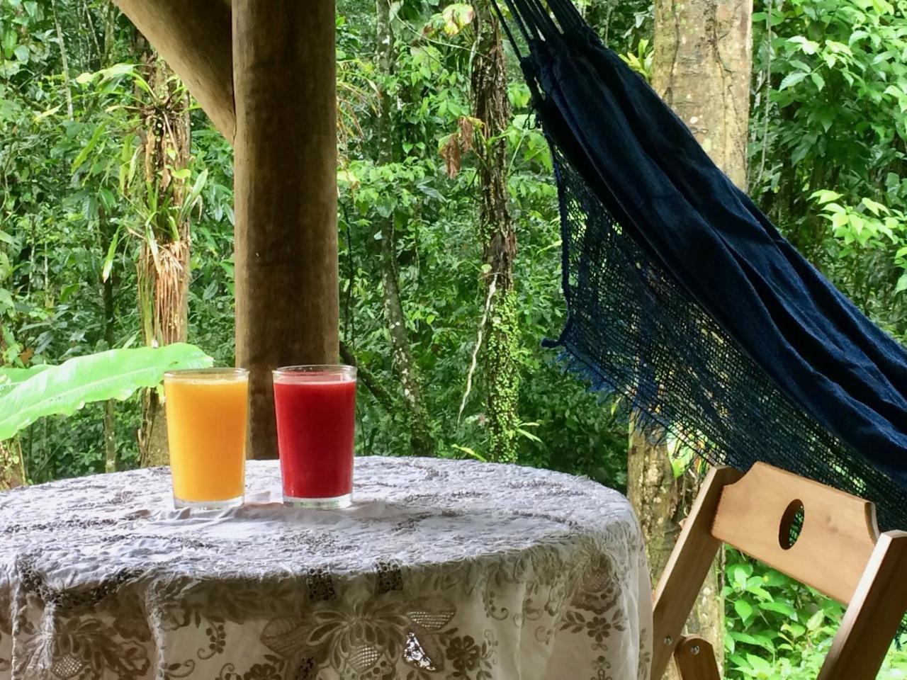 Eco Chales Caminho Das Aguas Barra Grande  Eksteriør billede