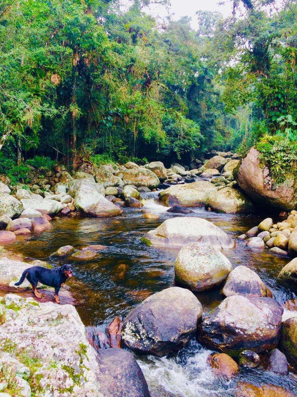 Eco Chales Caminho Das Aguas Barra Grande  Eksteriør billede